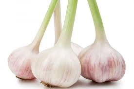 Ail frais - 240g (3pc.)